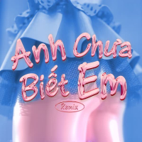 Anh Chưa Biết Em (Remix) (Single)