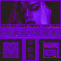 Has Anyone Seen The Sun