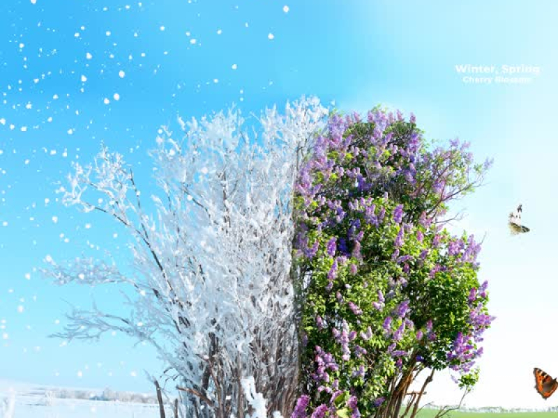 Winter, Spring (Single)