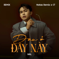 Đau Ở Đây Này (Remix) (Single)