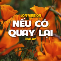 Nếu Có Quay Lại (Lo-Fi) (Single)