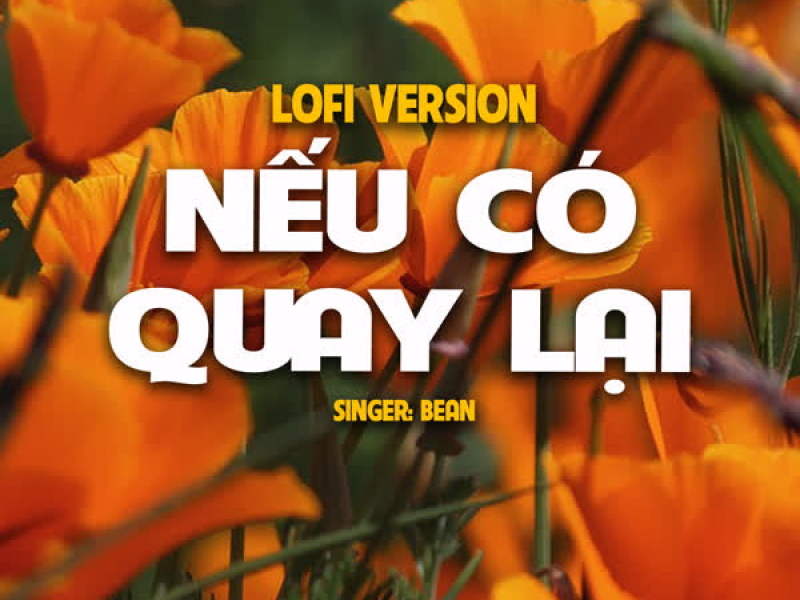 Nếu Có Quay Lại (Lo-Fi) (Single)