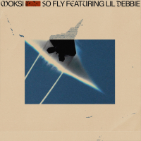 So Fly (Single)