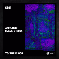 To The Floor (Single)
