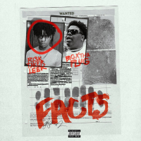 Facts (Single)