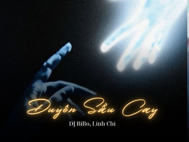 Duyên Sầu Cay (DJ Bibo Remix) (Single)