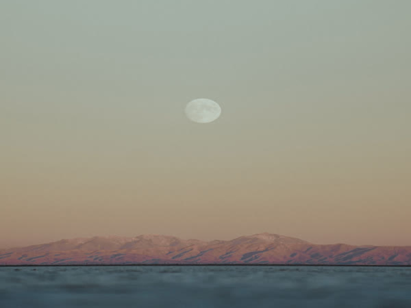 酒醉伤心泪 (Single)