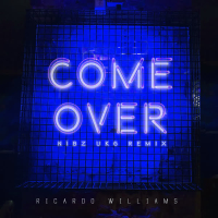 Come Over (Nibz UKG Remix) (Single)