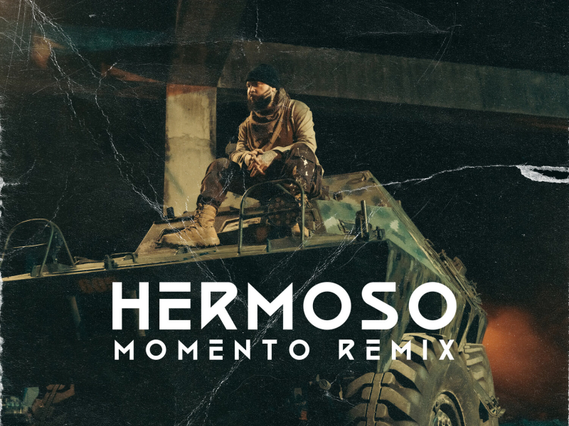 Hermoso Momento (Remix) (Single)