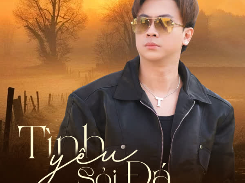 Tình Yêu Sỏi Đá (Beat) [Lofi Mix] (Single)