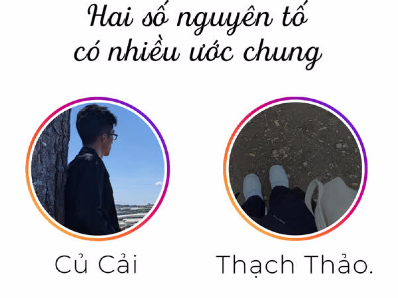 Hai Số Nguyên Tố Có Nhiều Ước Chung (Single)