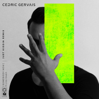 Somebody New (Just Kiddin Remix) (Single)