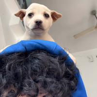 Kisse Kaafi (Single)