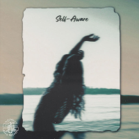 Self-Aware (Single)