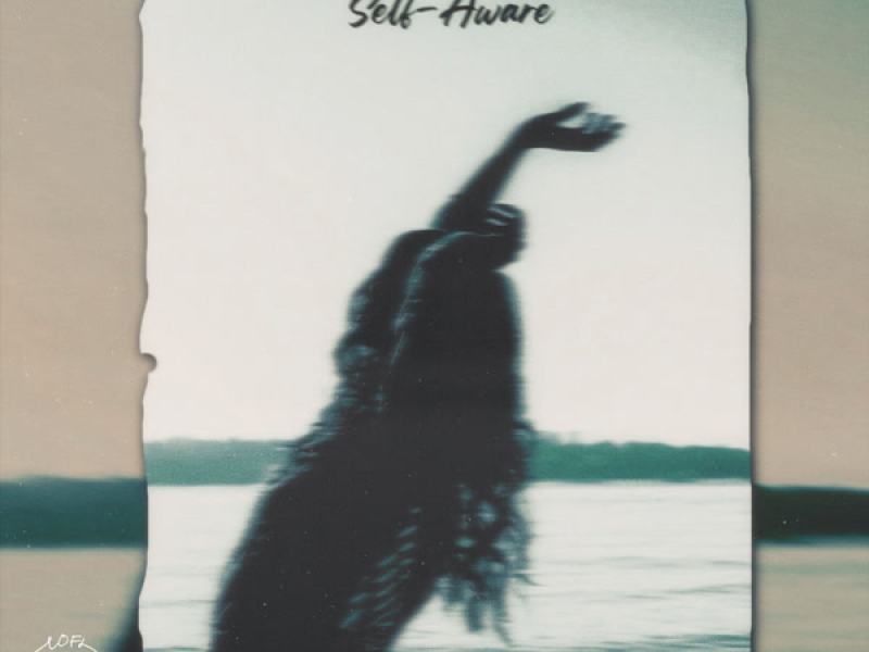 Self-Aware (Single)