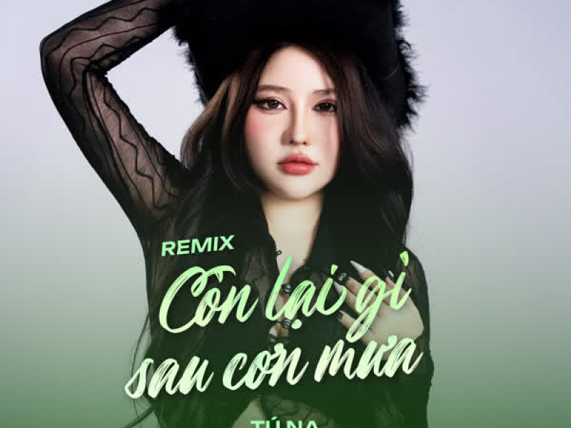 Còn Lại Gì Sau Cơn Mưa (Remix) (Single)