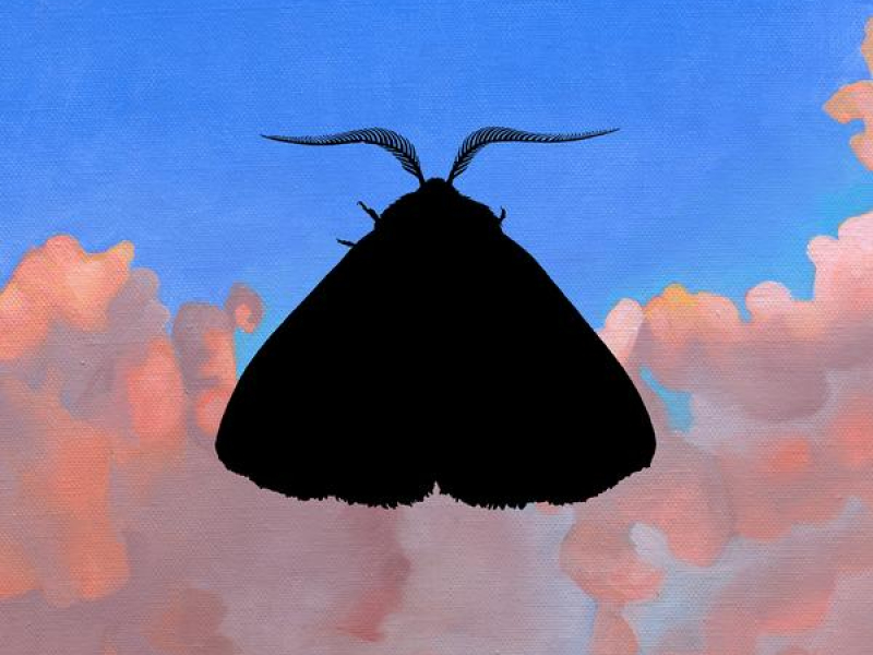 Romeo (Empress Of Remix) (Single)