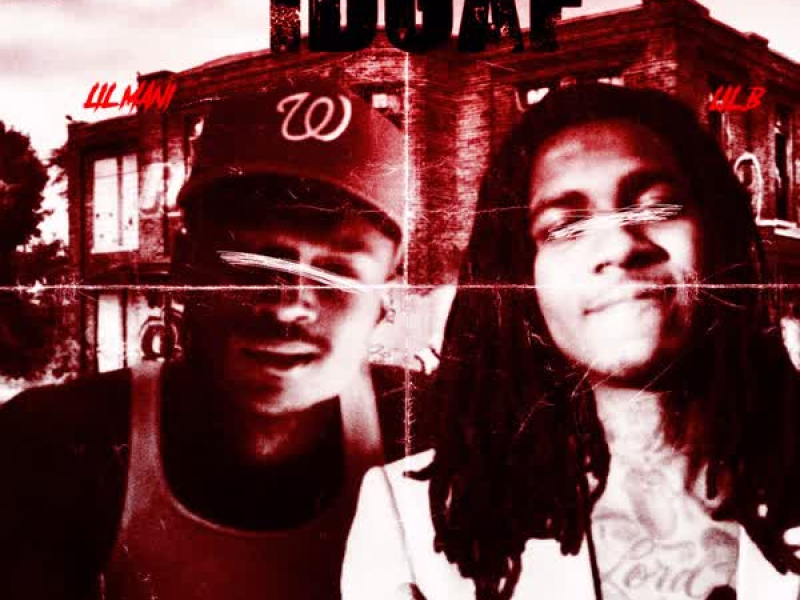 IDGAF (feat. Lil B) (Single)