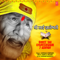 Shree Sai Gyaneshwari 7 Adhyay (Single)