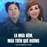 LK Mưa Đêm, Mưa Trên Quê Hương (Single)