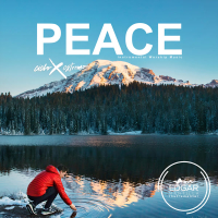 Peace (Instrumental Worship Music) (Single)
