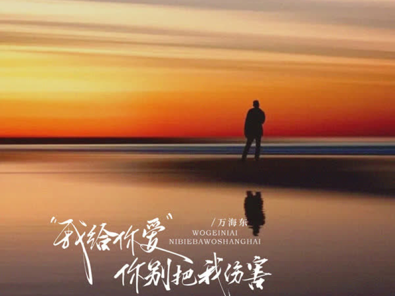 我给你爱你别把我伤害（DJ九零版） (Single)