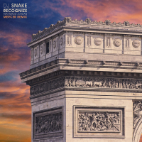 Recognize (Mercer Remix) (Single)