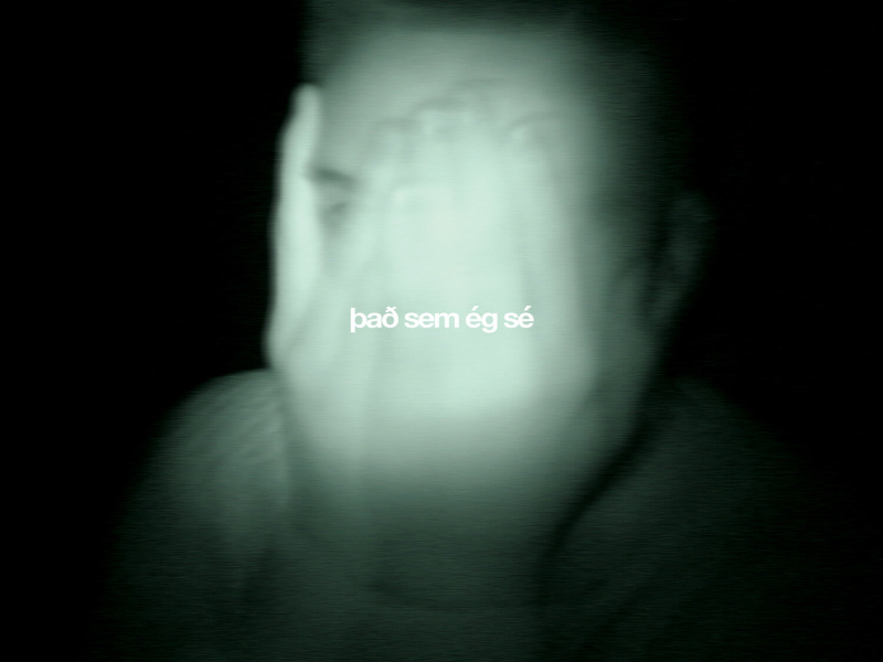 það sem ég sé (Single)