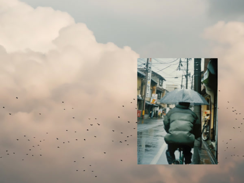 CAN WE DO BETTER? (EP)