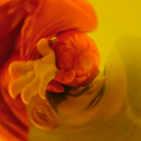 Hotline Bling (you know) (Single)