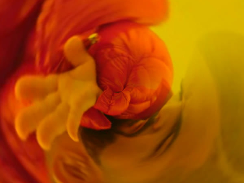 Hotline Bling (you know) (Single)