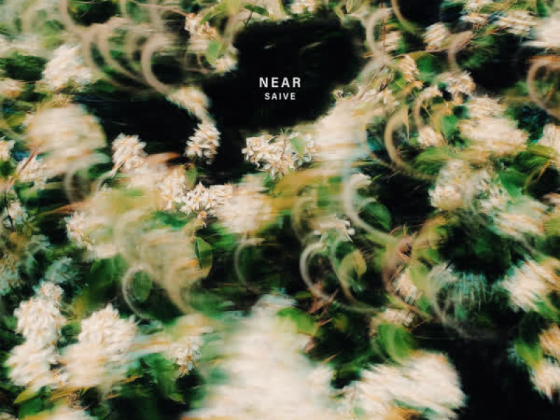 Near (Single)