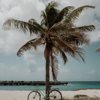 Summer Daze (Single)