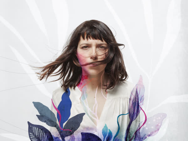 Jungle Contemporaine