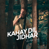 Kahay Dil Jidhar (Slowed & Reverb) (Single)