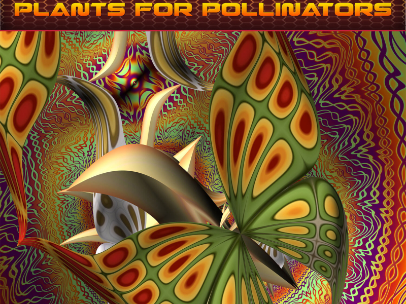 Plants for Pollinators