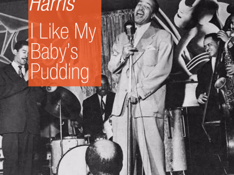 I Like My Baby's Pudding (Single)