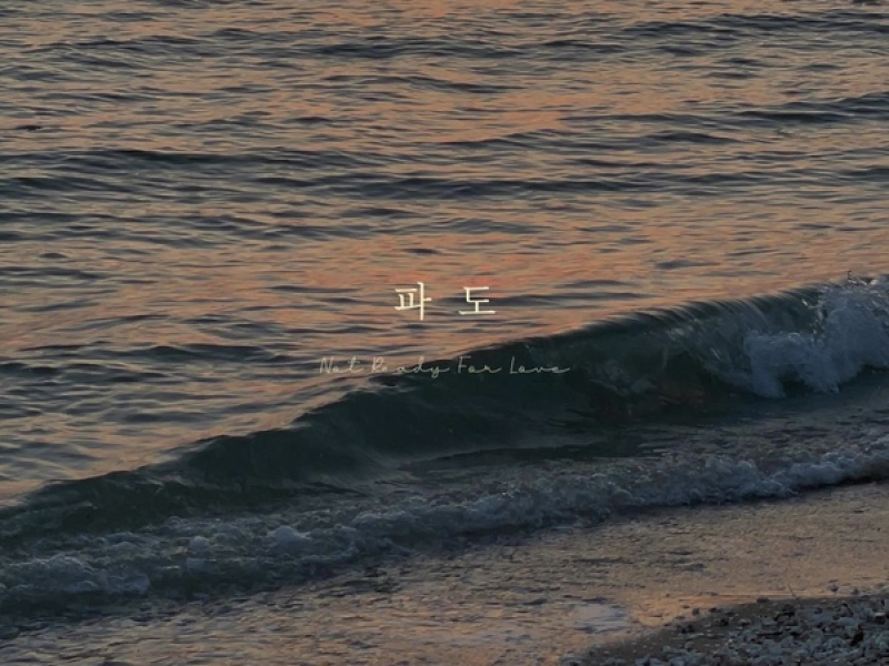 Not Ready For Love (Single)