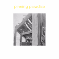 Pinning Paradise (Single)