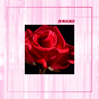 빨간 장미꽃 한 송이 (Single)