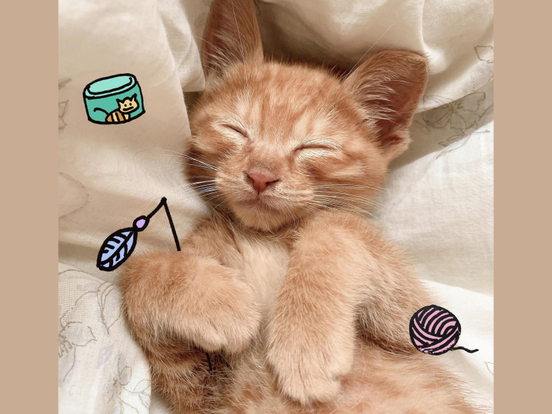 i saw you (feat. Grizzly) (Single)