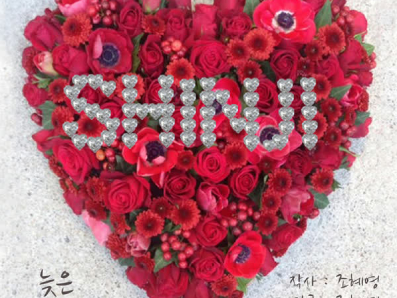 늦은 후회 (Single)