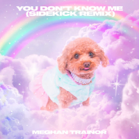 You Don't Know Me (Sidekick Remix) (Single)