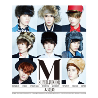 Perfection 太完美 - The 2nd Mini Album