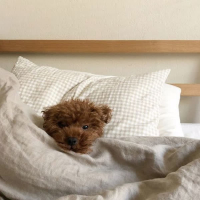 강아지의 일상 (EP)