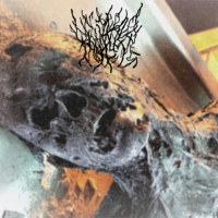 Pouring sulfuric acid into water guns at a kid's birthday party (Single)