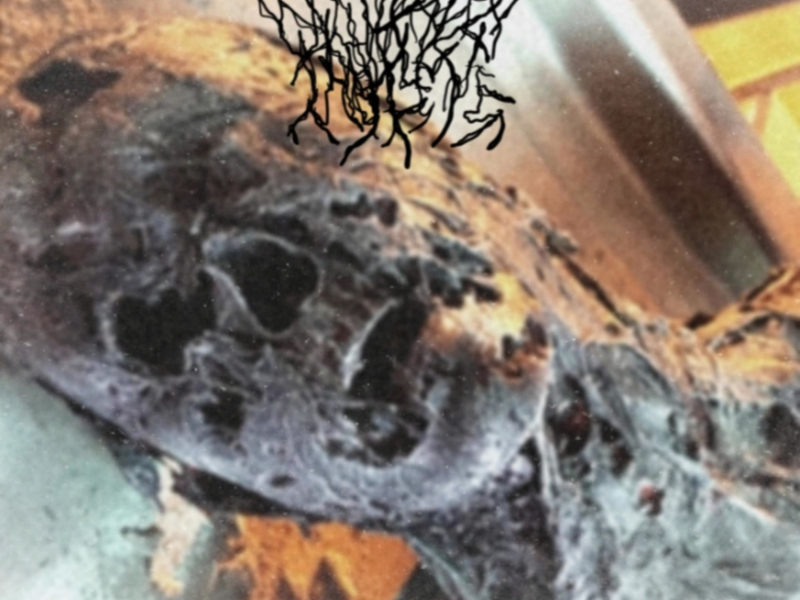 Pouring sulfuric acid into water guns at a kid's birthday party (Single)