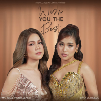 Wish You The Best (Single)