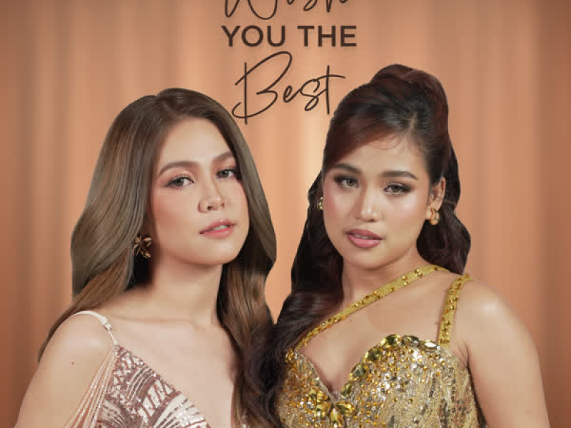 Wish You The Best (Single)