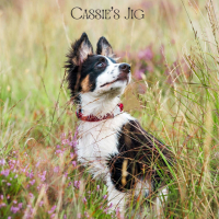 Cassie's Jig (Single)